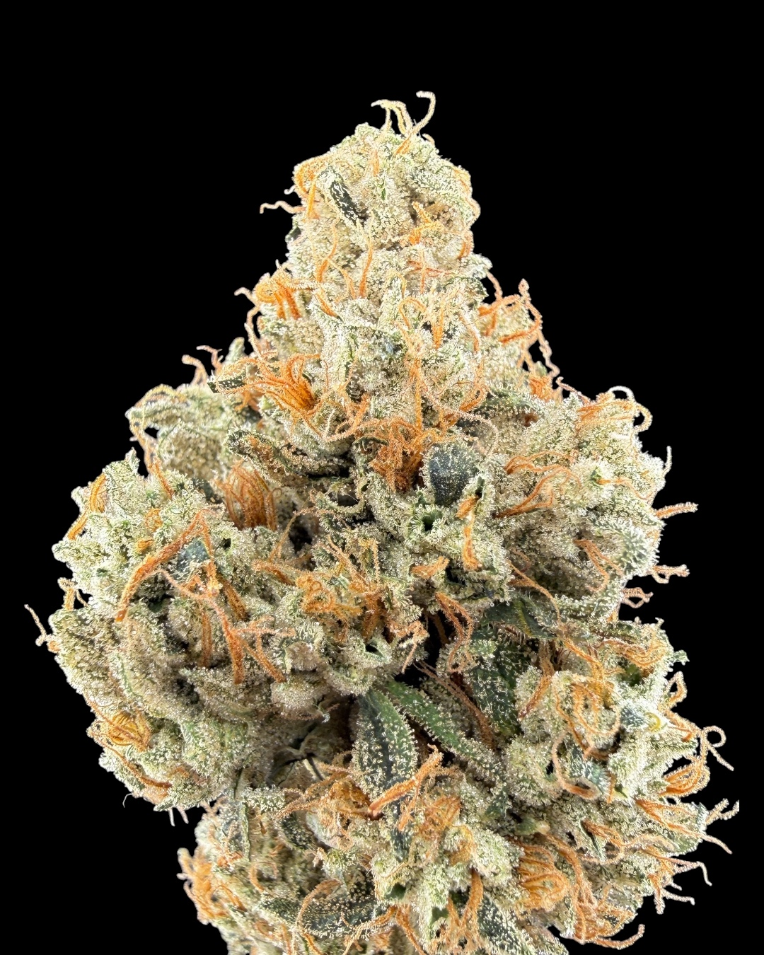 Jolene - [Wicks Picks]