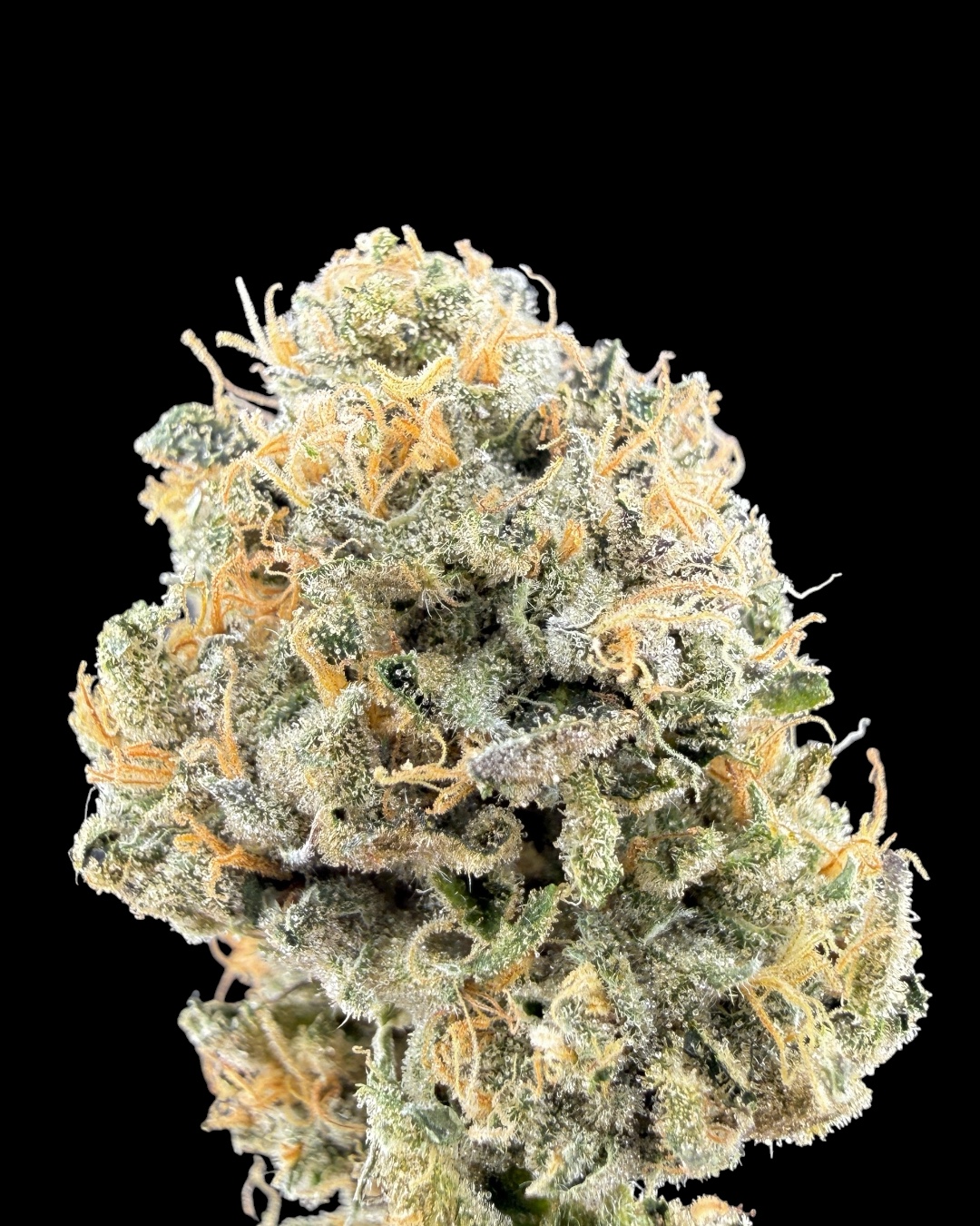 Sherbet - [Wicks Picks]