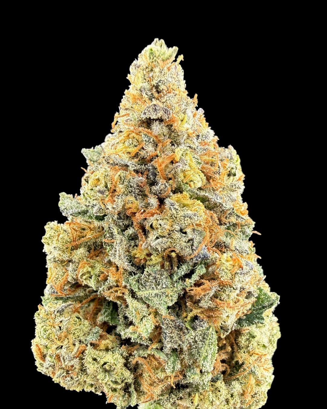 Peanut Butter Gelato $90 Oz Special