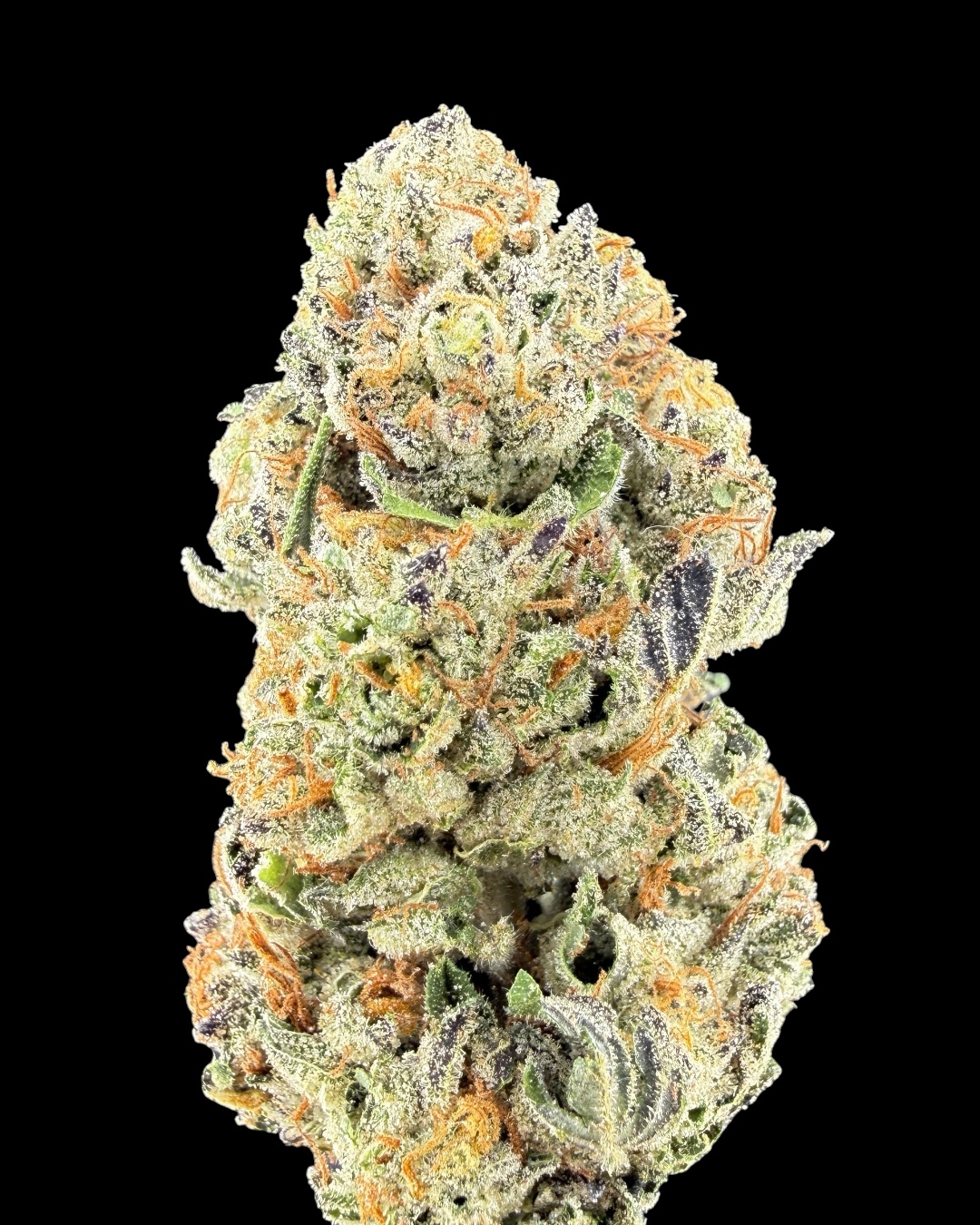 Modified Mintz $80 Oz Special