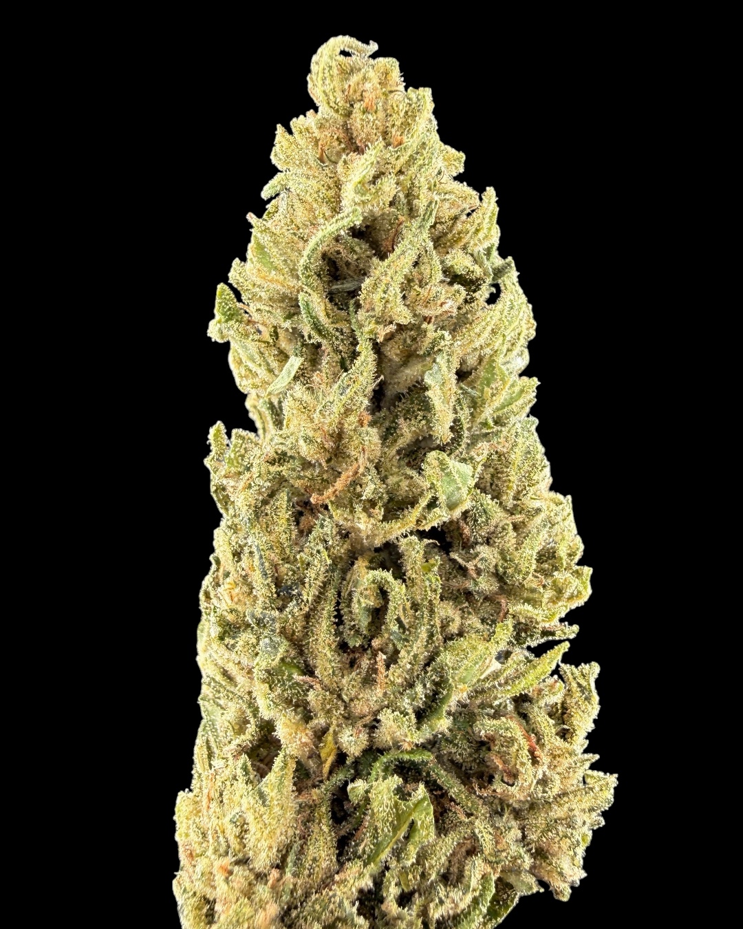 Blue Dream $60 Oz Special
