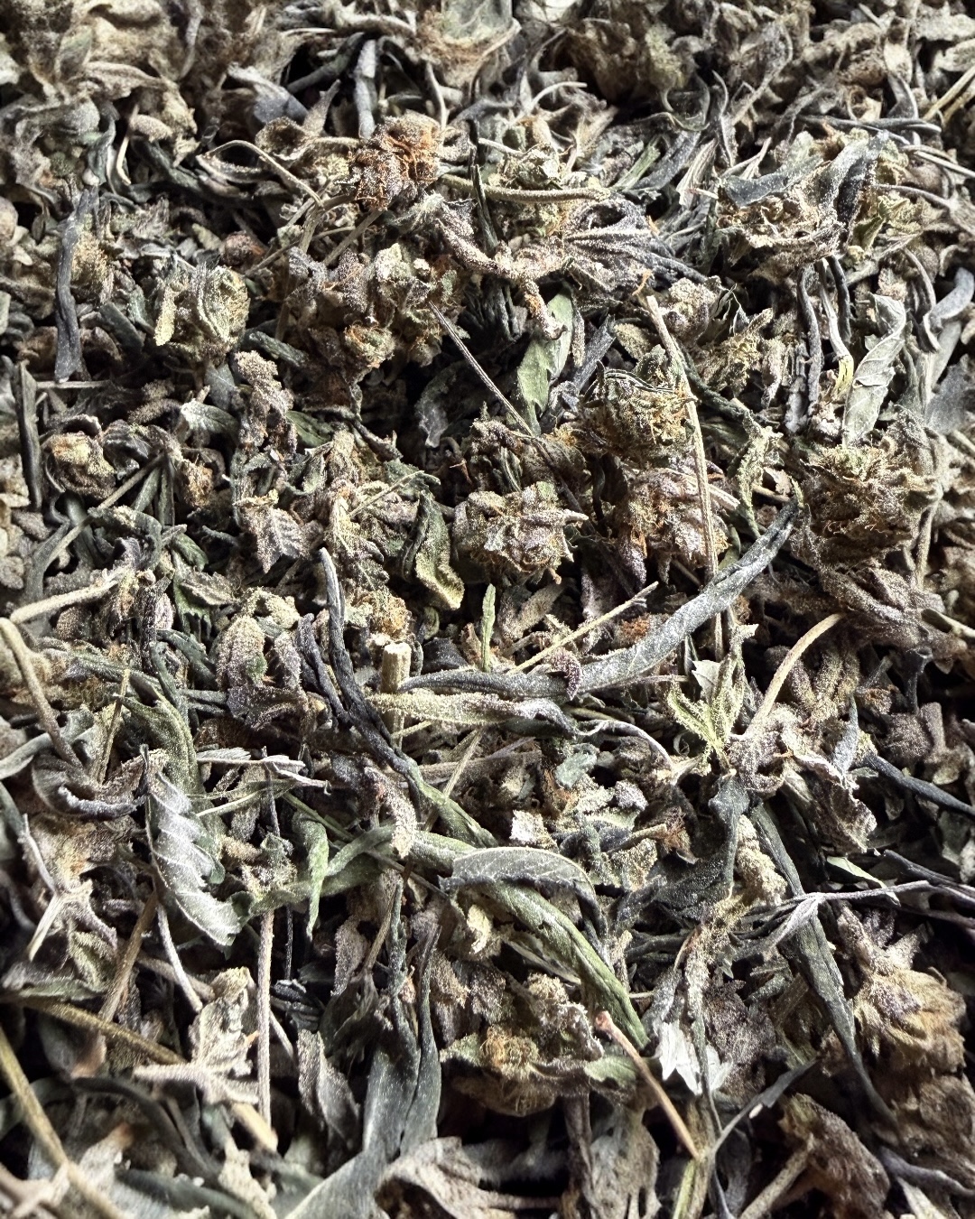 Trim $10 Oz Special (4 Ozs for $30)