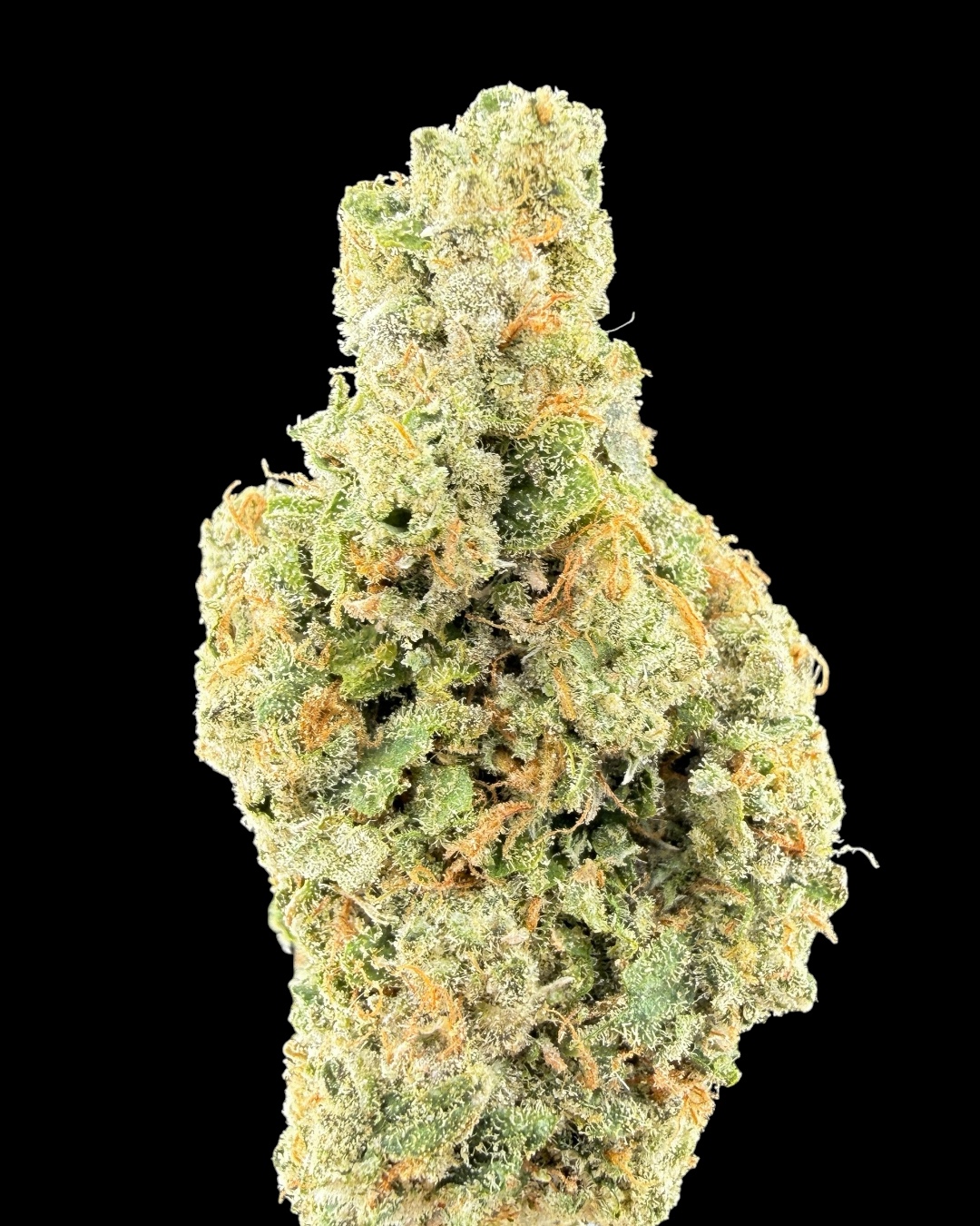 Girl Scout Diesel