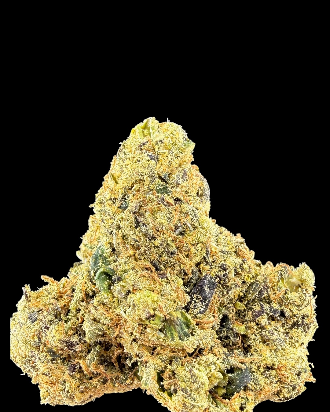 Yachtzi $90 Oz Special