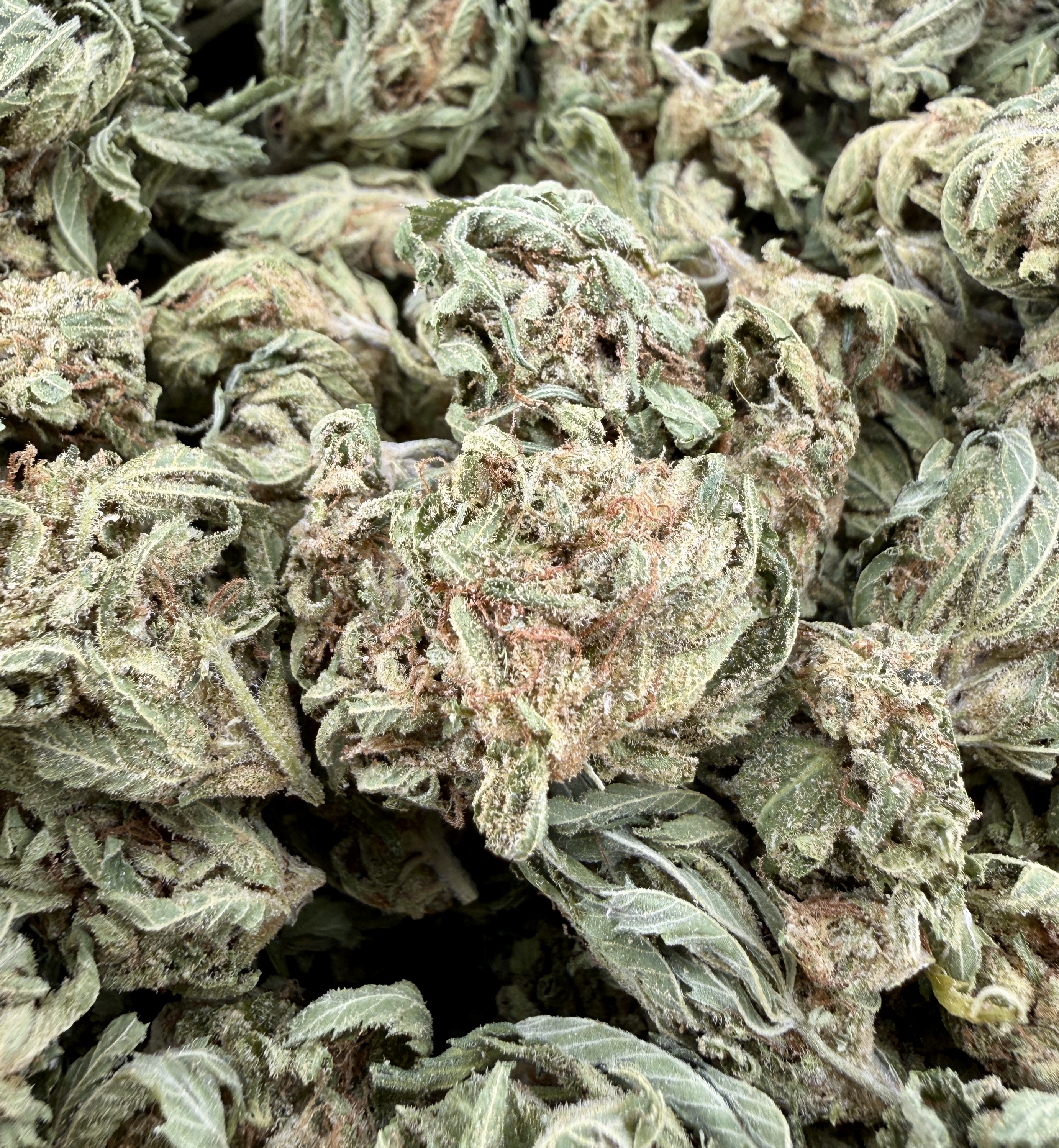Pink Lemonade smalls $40 Oz Special (2 Ozs for $70)