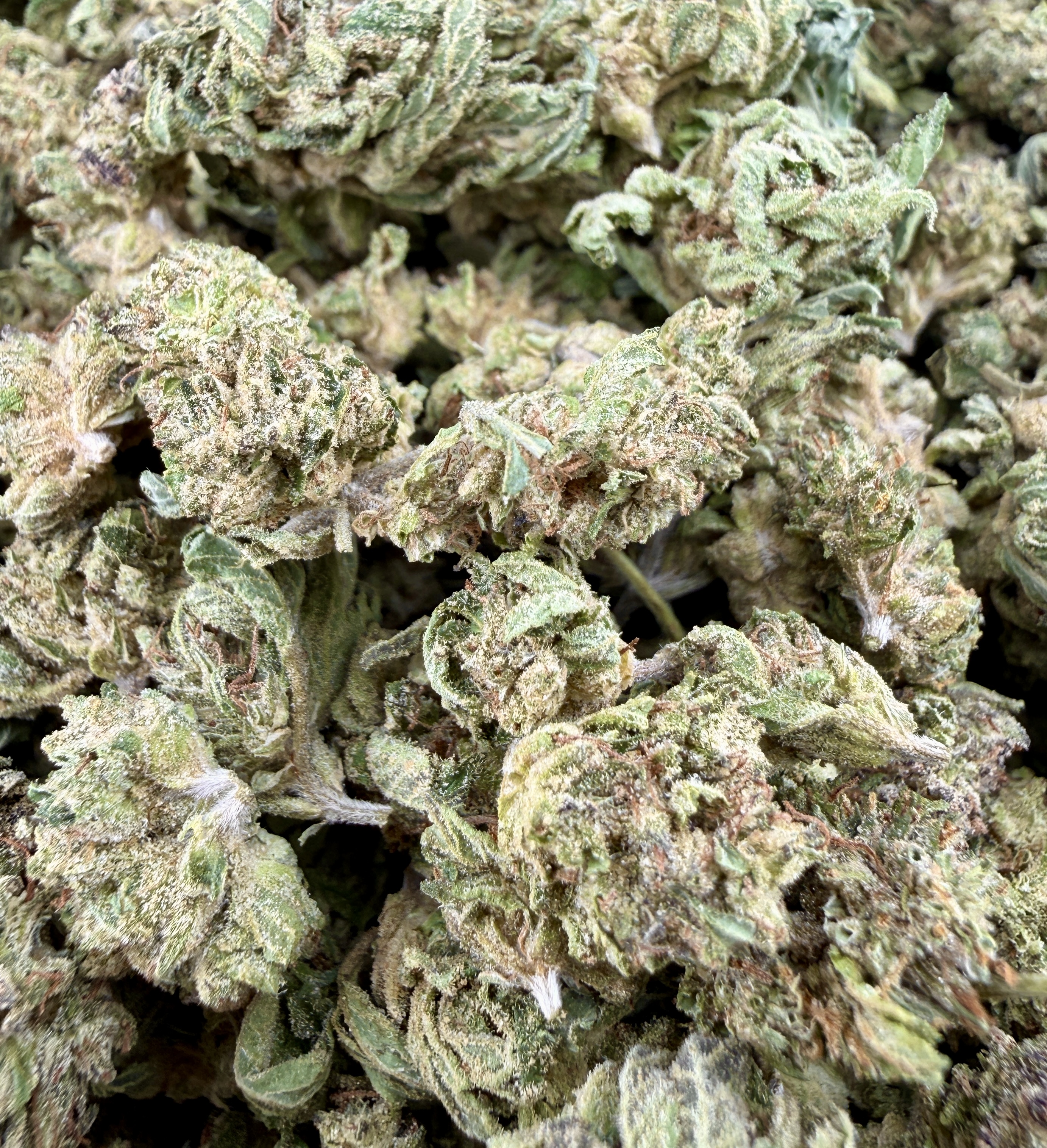 Pink Zertz smalls $30 Oz Special (2 Ozs for $50)