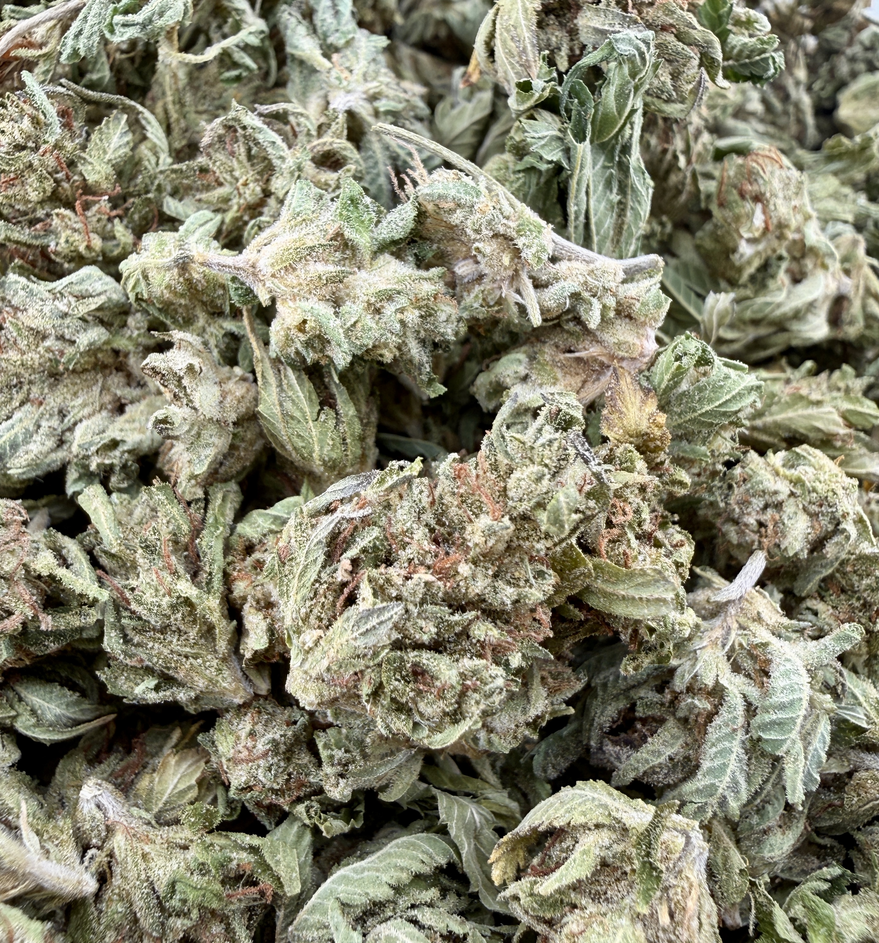 Key Lime Pie smalls $40 Oz Special (2 Ozs for $70)