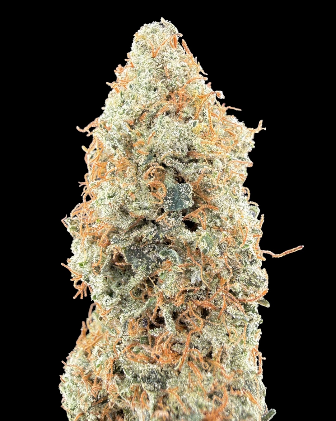 Chem 91 $140 Oz Special