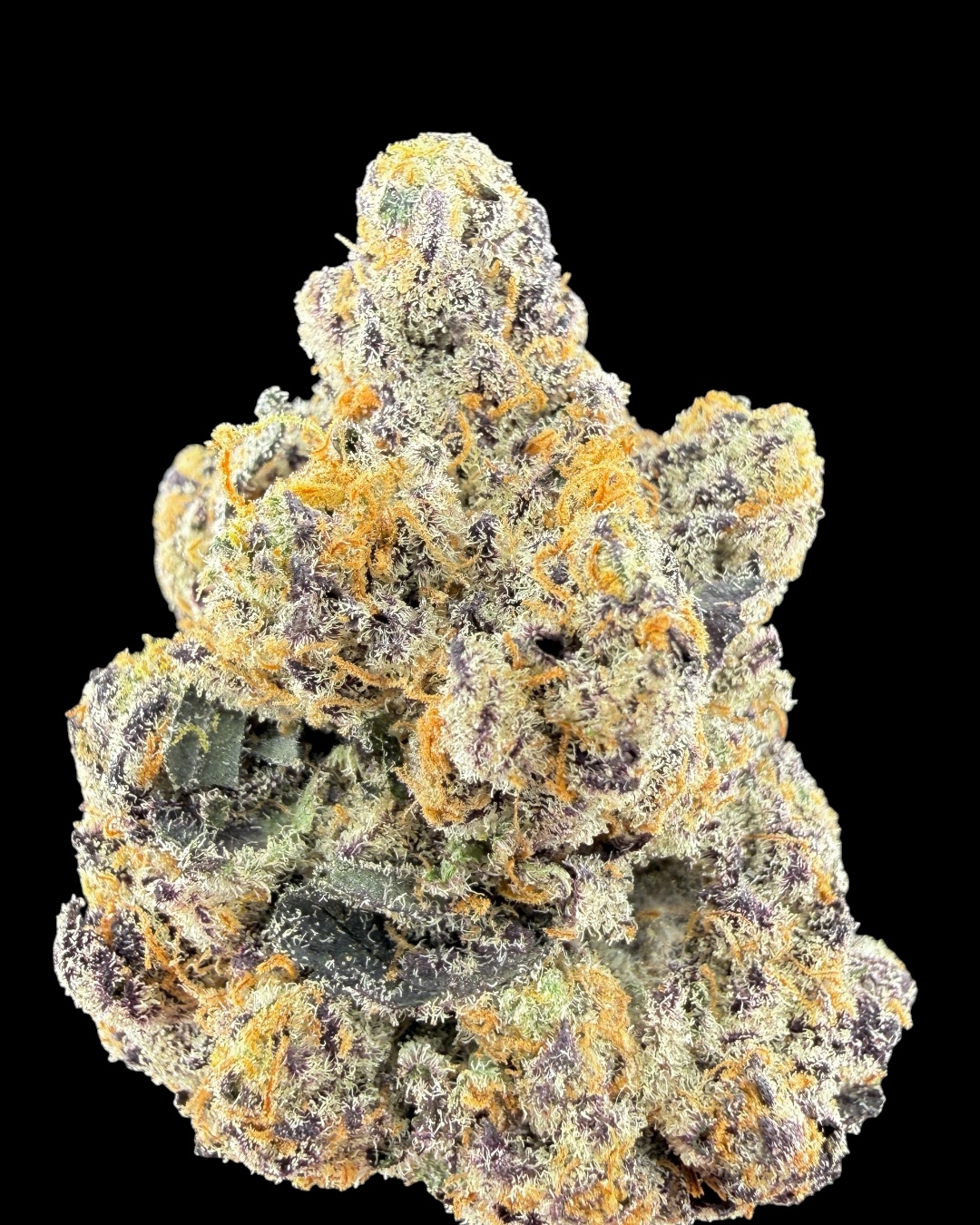 Girl Scout Cookies