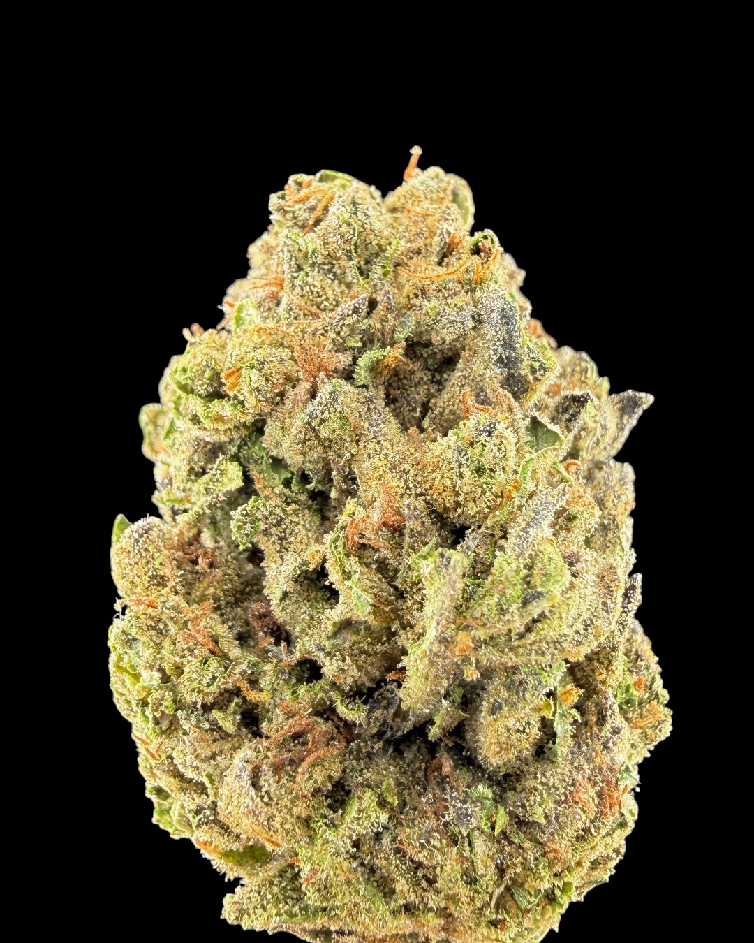 Gelato 41 $70 Oz Special (2 Ozs for $120)
