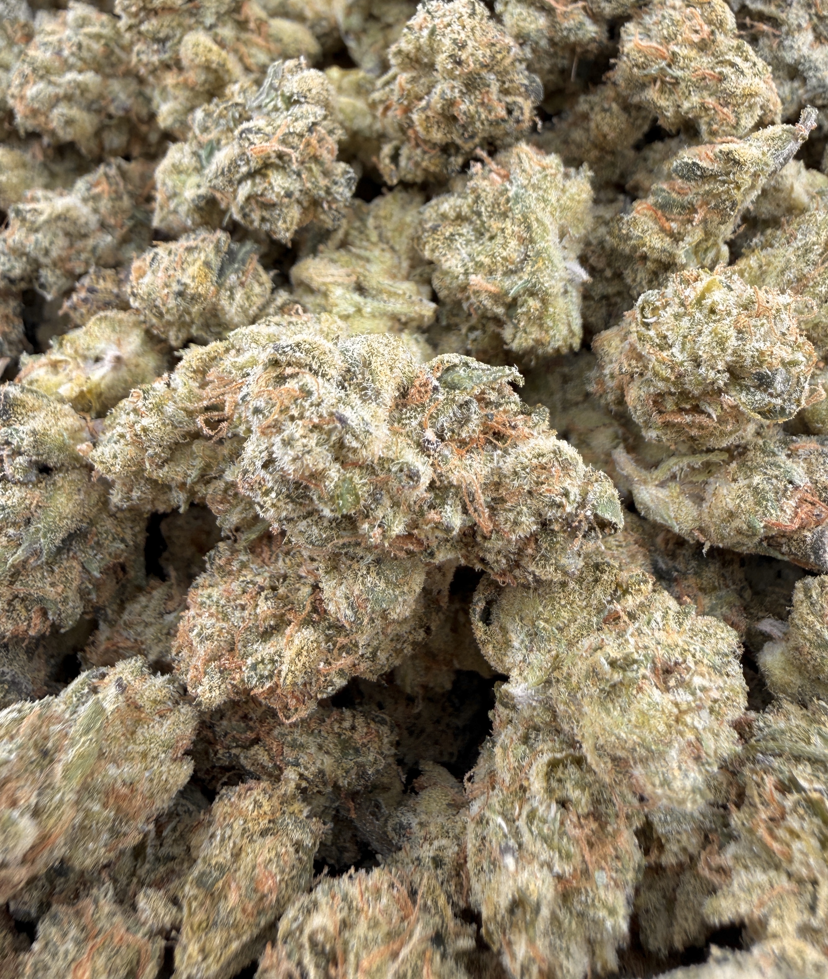 Creme Brulee smalls $90 Oz Special
