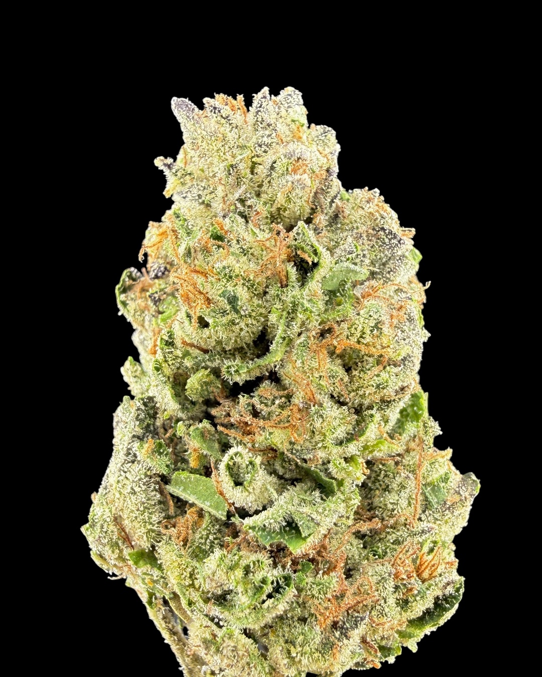 Gtopia $80 Oz Special (2 Ozs for $140)