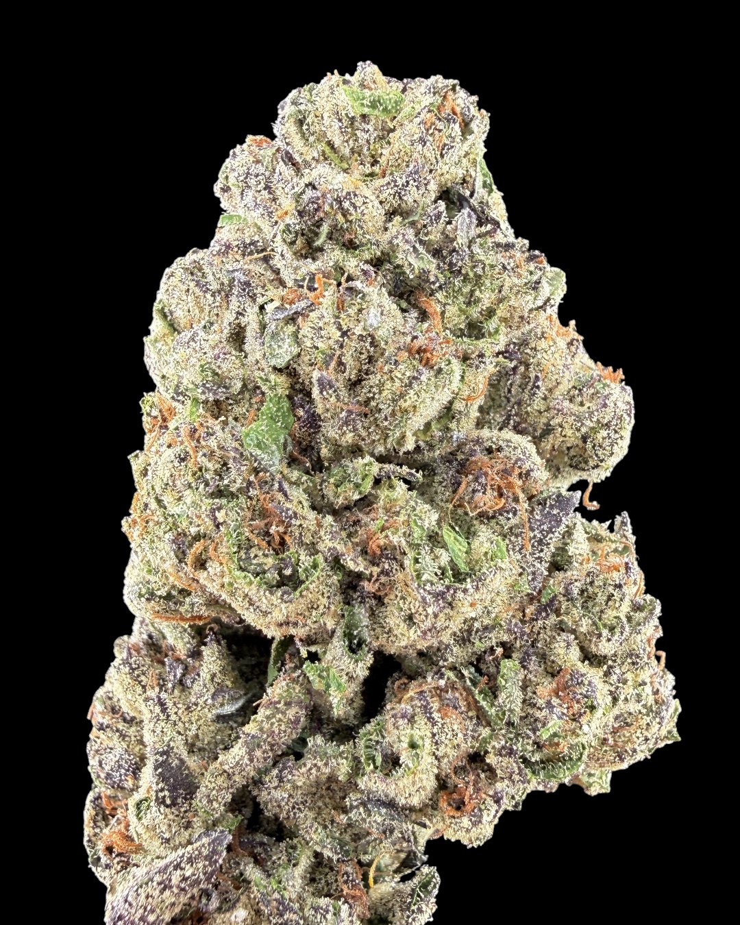 Gary Payton $100 Oz Special