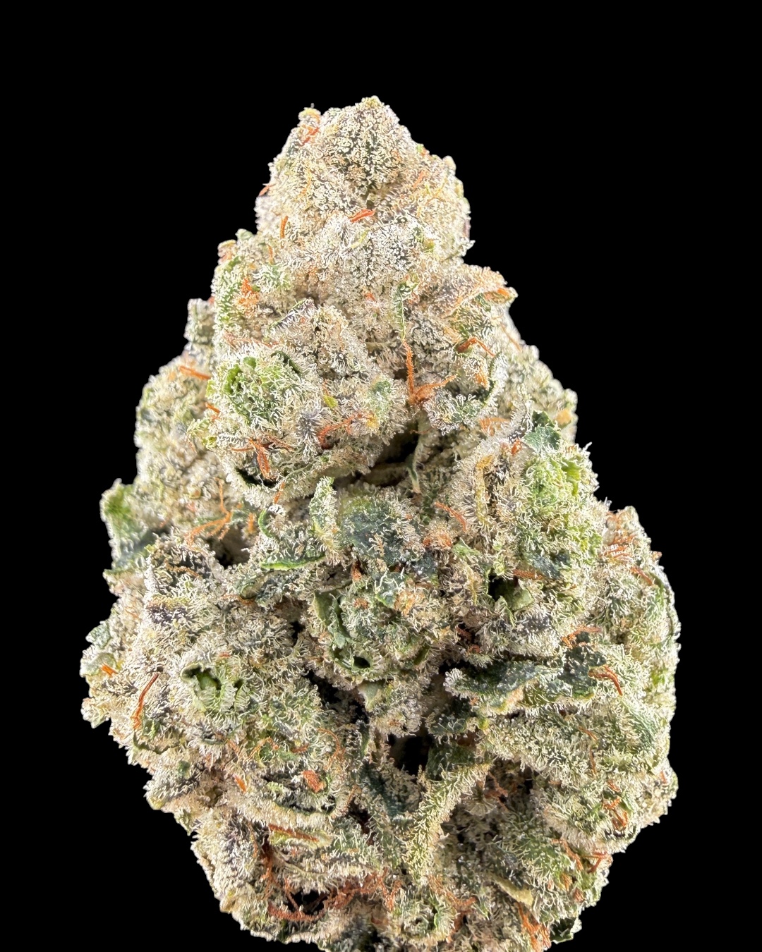 Gorilla Glue