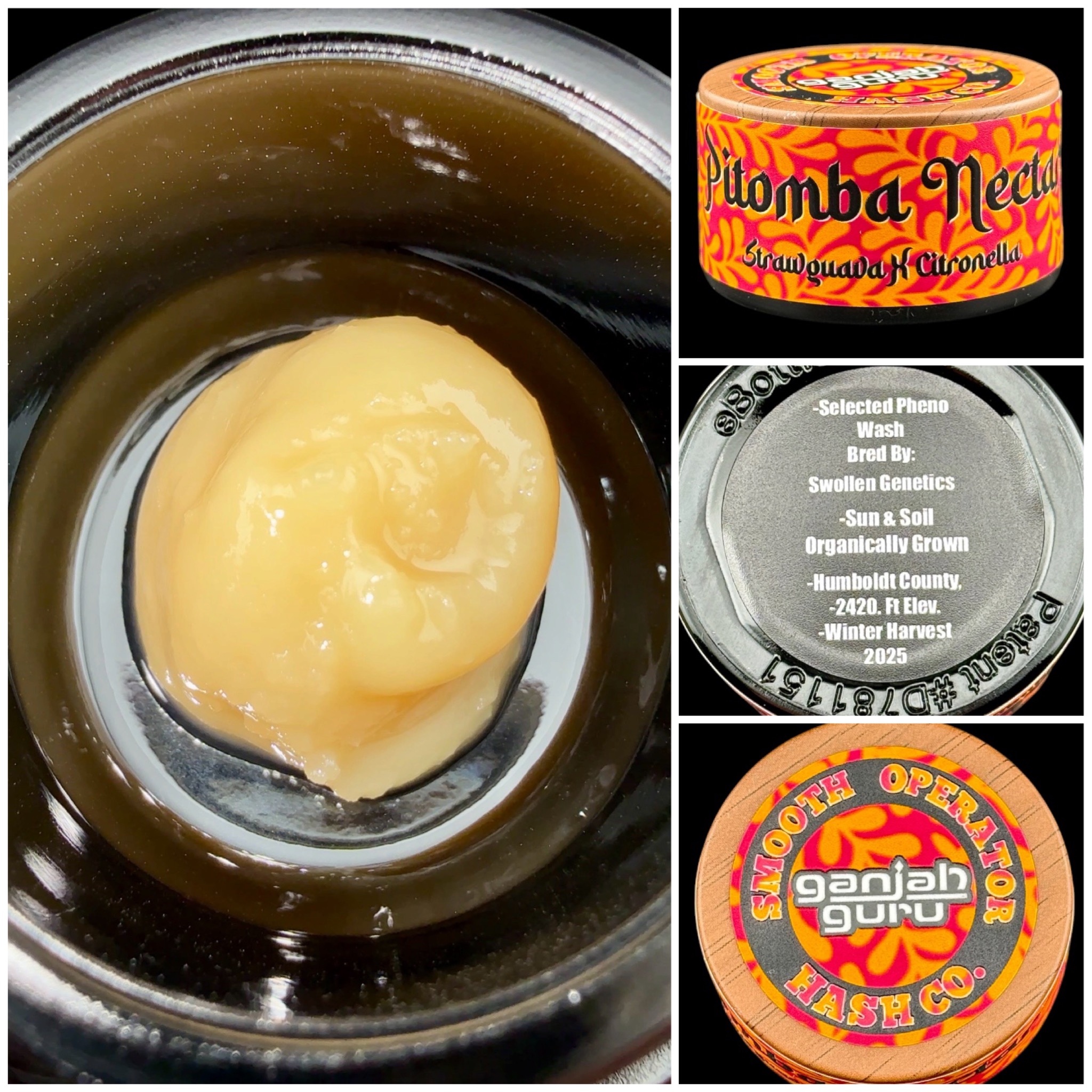 Pitomba Nectar - 2g live rosin [Ganjah Guru x Smooth Operator Hash Co.]