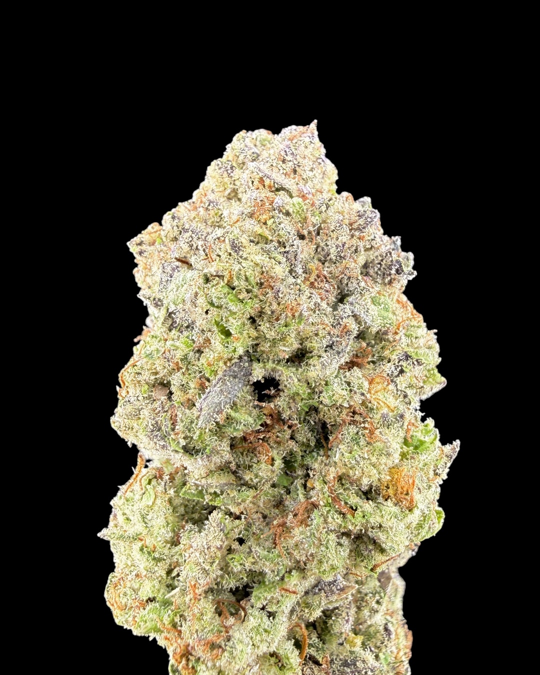 Black Truffle $70 Oz Special (2 Ozs for $120)