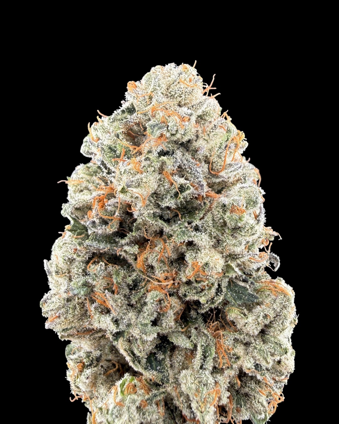 Strawberry Diesel - [Wicks Picks]