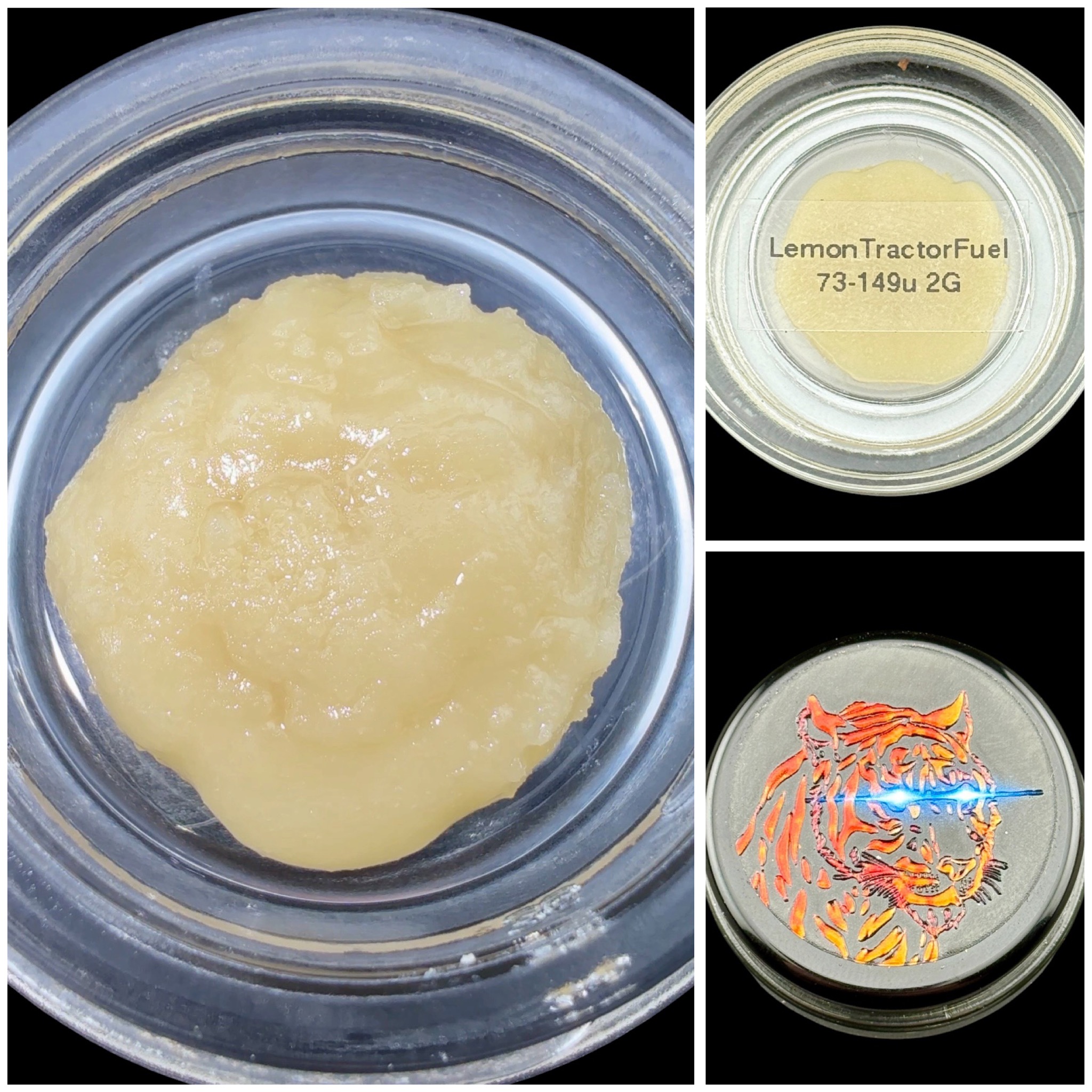 Lemon Tractor Fuel - 2g live rosin [Steady Kushin]