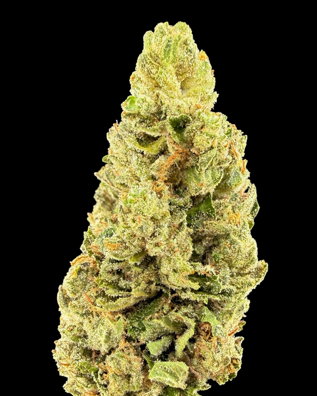 Gelato 33 x Kush Breath $70 Oz Special (2 Ozs for $120)