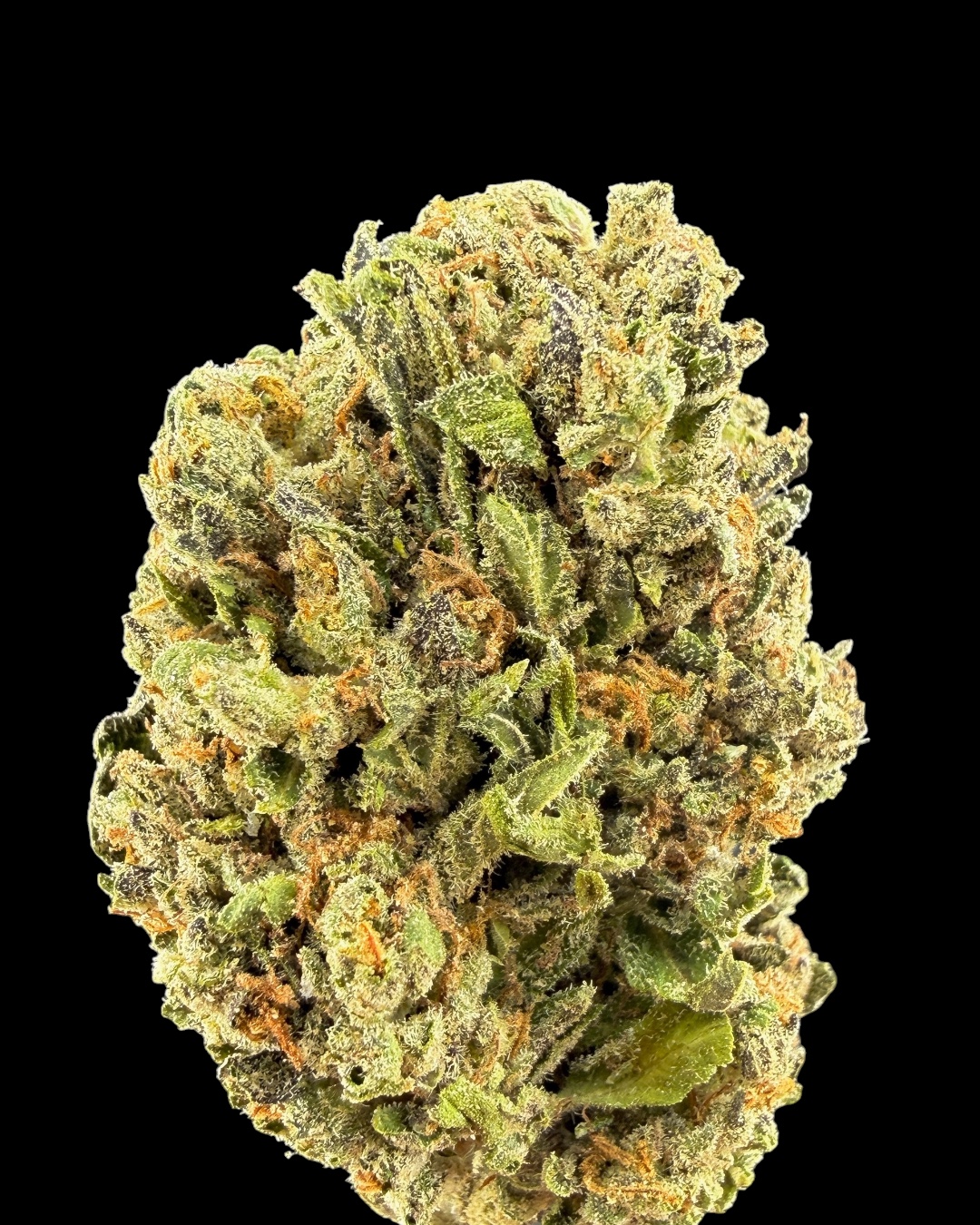 Root Beer x Sour Band $70 Oz Special (2 Ozs for $120)