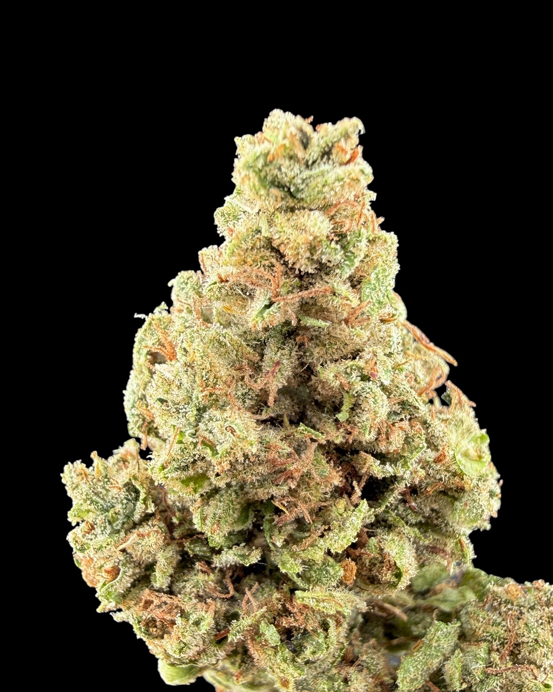 Gorilla Glue $60 Oz Special