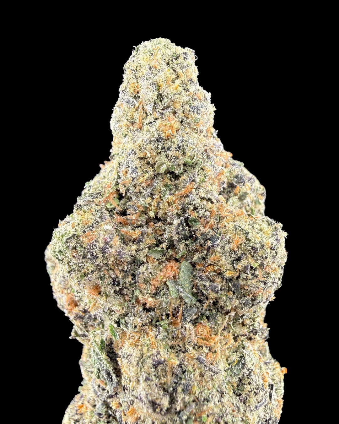 Girl Scout Cookies $160 Oz Special
