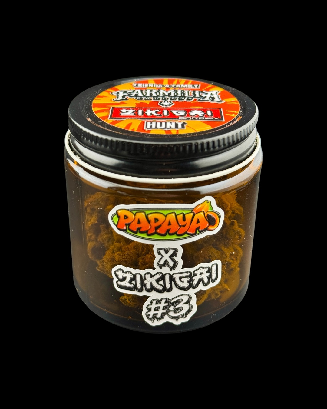 Papaya x Zikigai  - [Familia Gardens x Zikigai Garden]