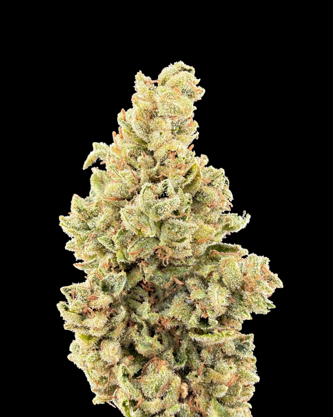 GG4 $70 Oz Special (2 Ozs for $120)