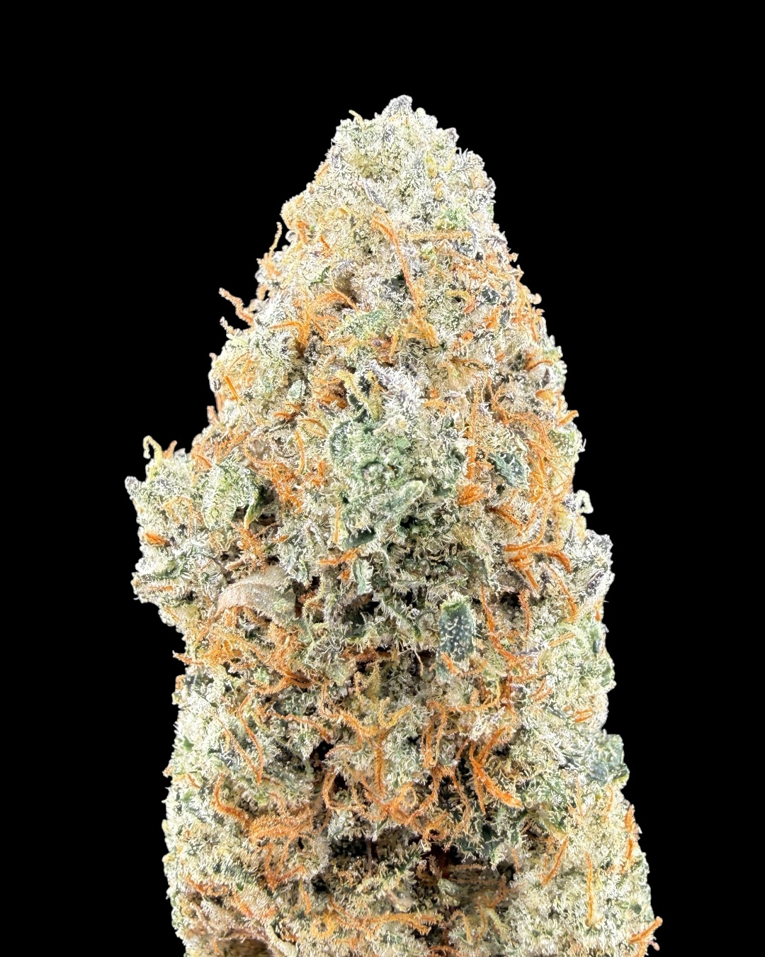 Girl Scout Haze $100 Oz Special