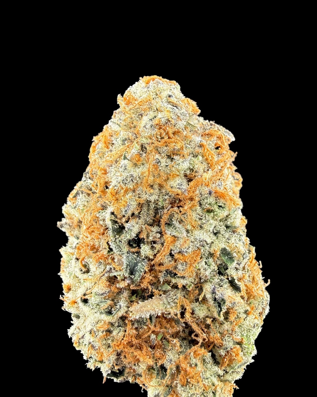 Orange Sherbet $100 Oz Special