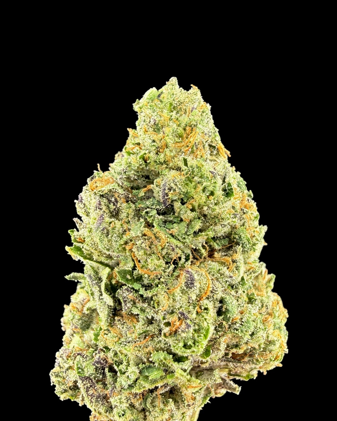 Black Maple $70 Oz Special (2 Ozs for $120)