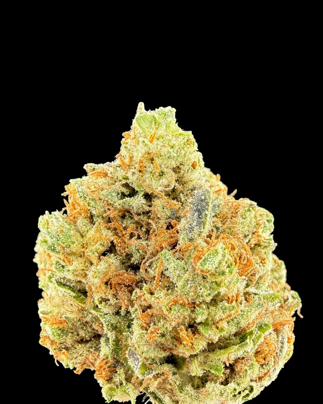 Gelato 34 $60 Oz Special (2 Ozs for $100)