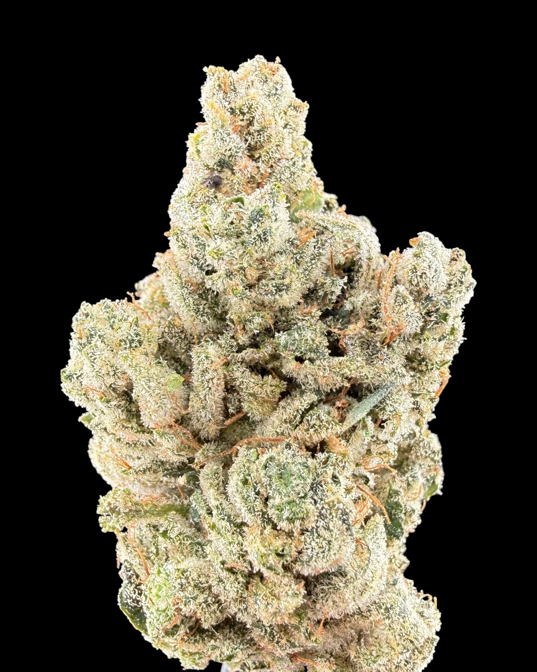 Gorilla Glue