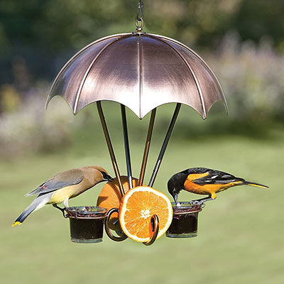 Covered Brushed Copper Bird Feeder