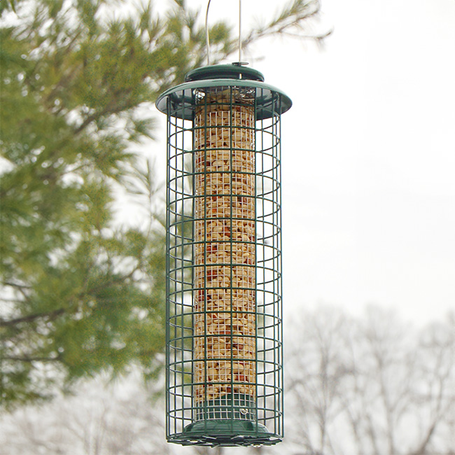 Caged Nut and Seed Feeder