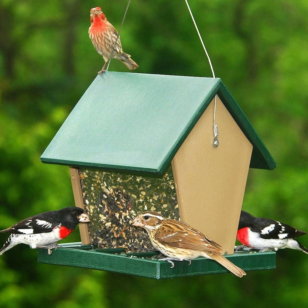 Recycled Plastic Hopper Feeder