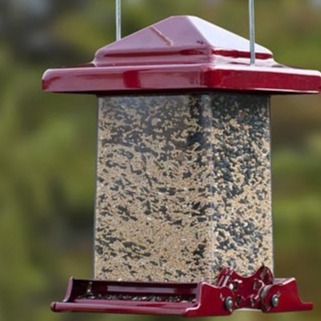 Colorful Squirrel-Resistant Seed Feeder