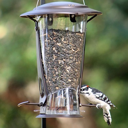 Metal Squirrel-Proof Feeder