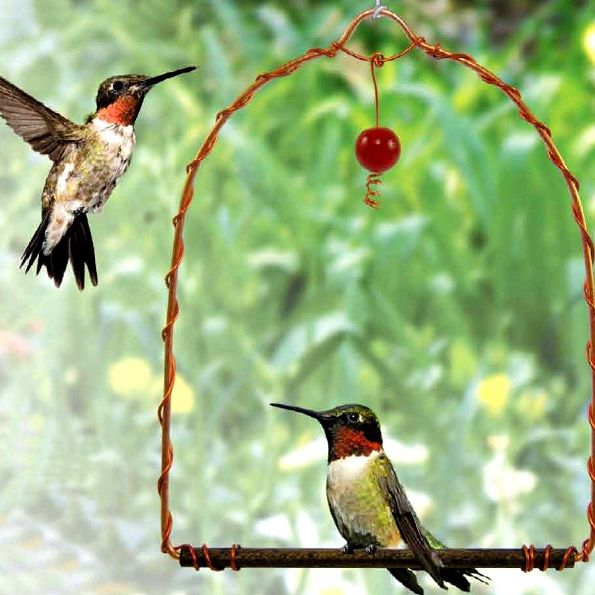 Copper Hummingbird Swing
