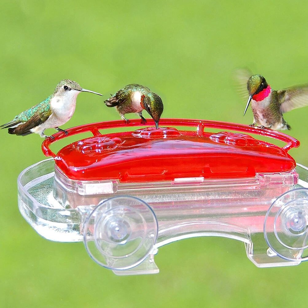 Jewel Box Window Hummingbird Feeder