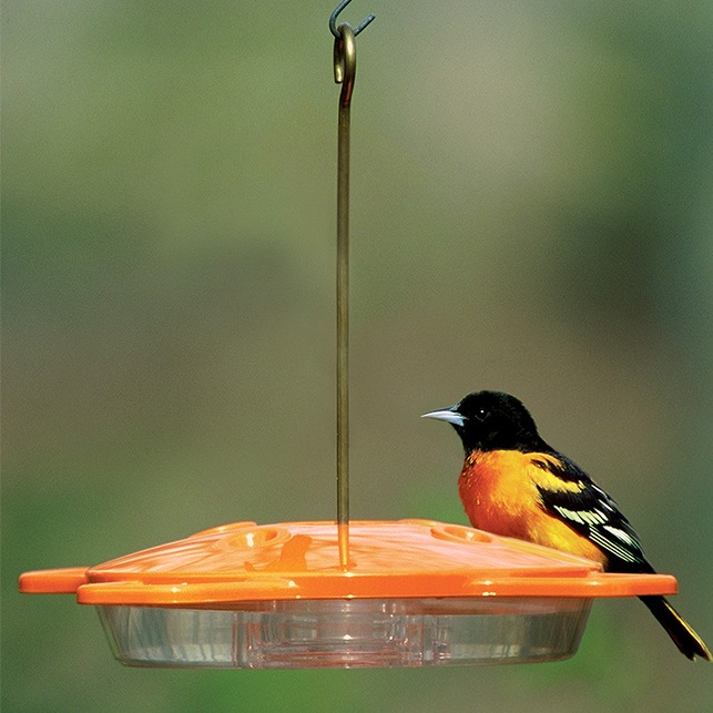 Bee-Resistant Oriole Feeder