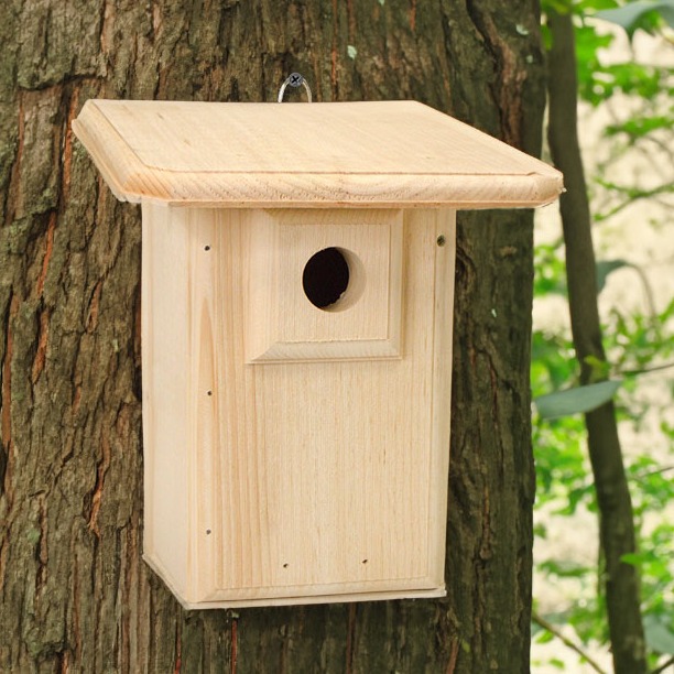 Spacious Bluebird House with Ladder