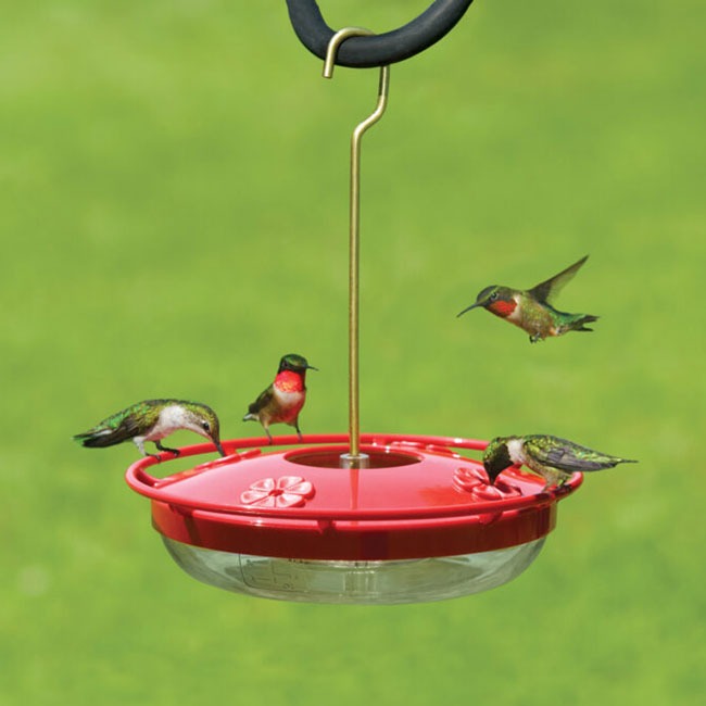 Comfort Fit Hummingbird Feeder