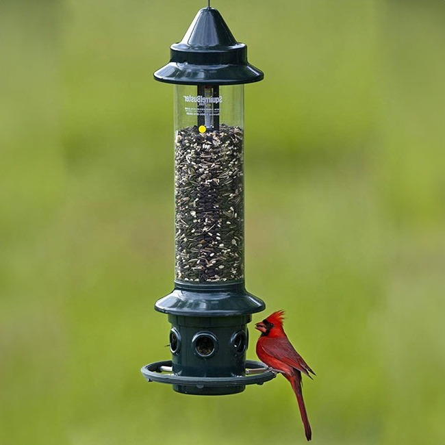 Rust and Squirrel Proof Bird Feeder